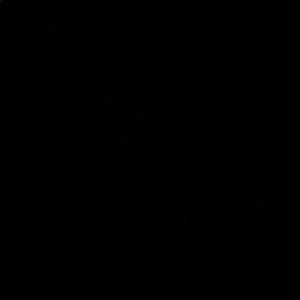 Meet your Posher, Raj